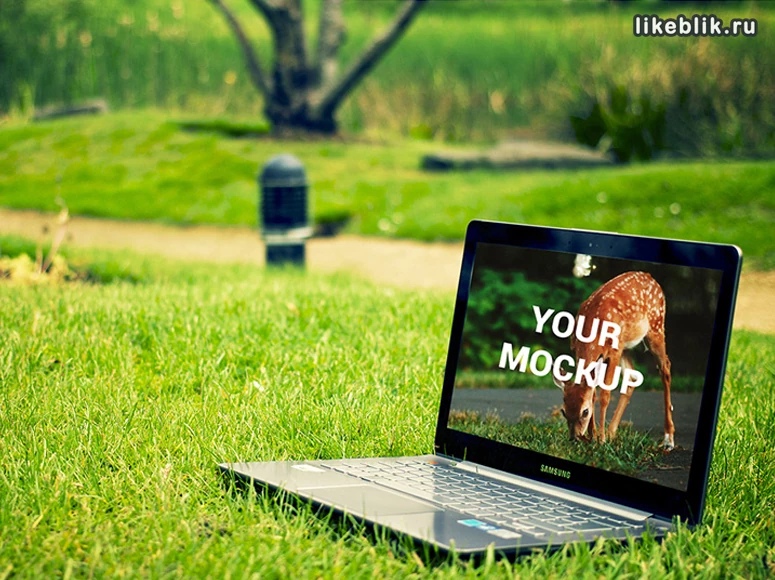 Мокап ноутбука в парке